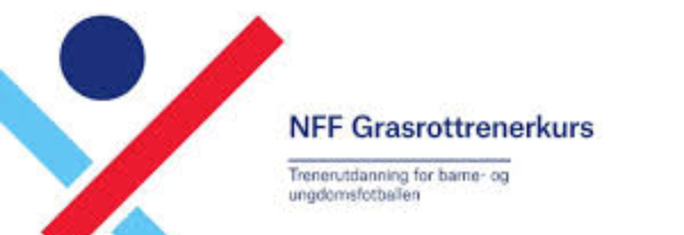 NFF Grasrottrener, Delkurs 2